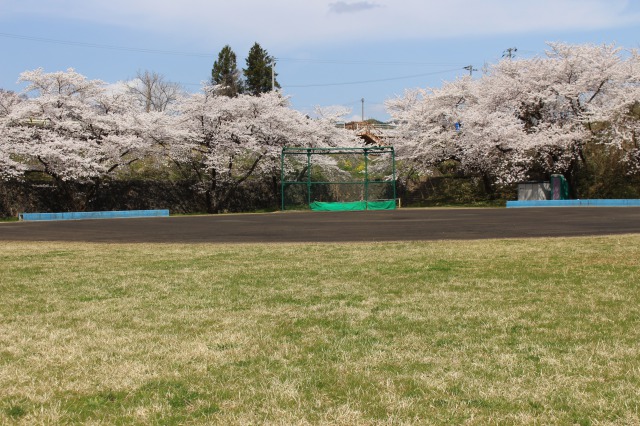 長老橋運動公園