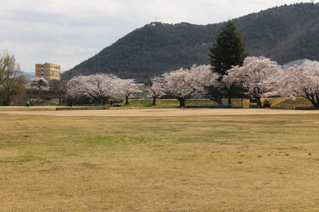 松川運動公園